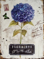 metalen_wandbord_met_afbeelding_blauwe_hortensia