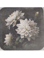 onderzetter_met_witte_bloem_dahlia