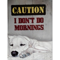 metalen_wandbord_caution_i_dont_do_mornings