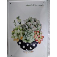 metalen_wandbord_world_of_succulents_vetplant