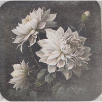 onderzetter_met_witte_bloem_dahlia